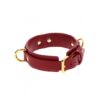 Obroża D-Ring Collar Deluxe czerwona Taboom (E3) - obrazek 4