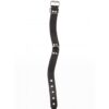 Obroża Elegant D-Ring Collar czarna Taboom (E3) - obrazek 4