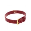 Obroża O-Ring Collar czerwona Taboom (E3) - obrazek 6
